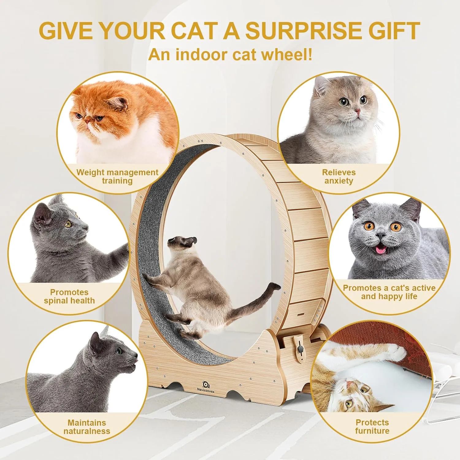 Ejercicios para gatos amazon 2025 - Rueda ejercicio felina