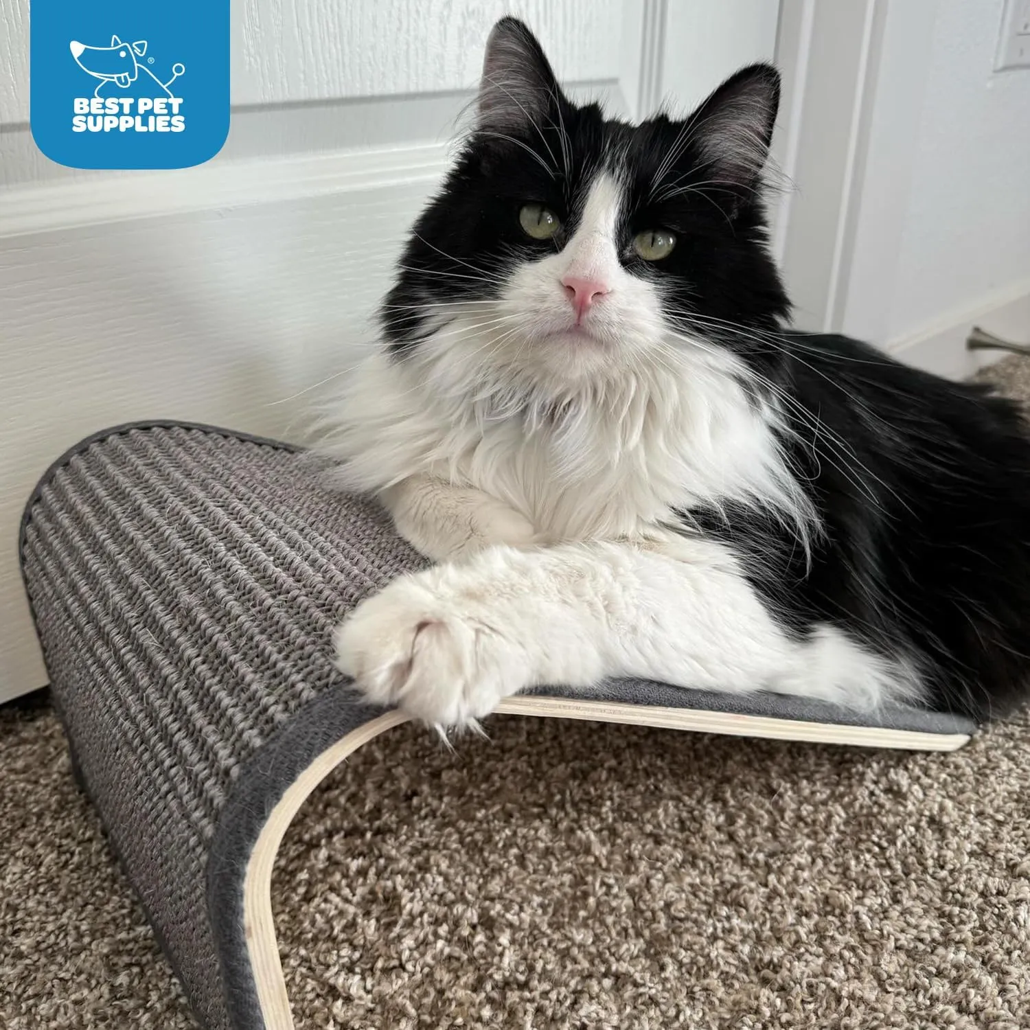 Rascador para gatos grande precio 2025 - Rascador sisal vertical